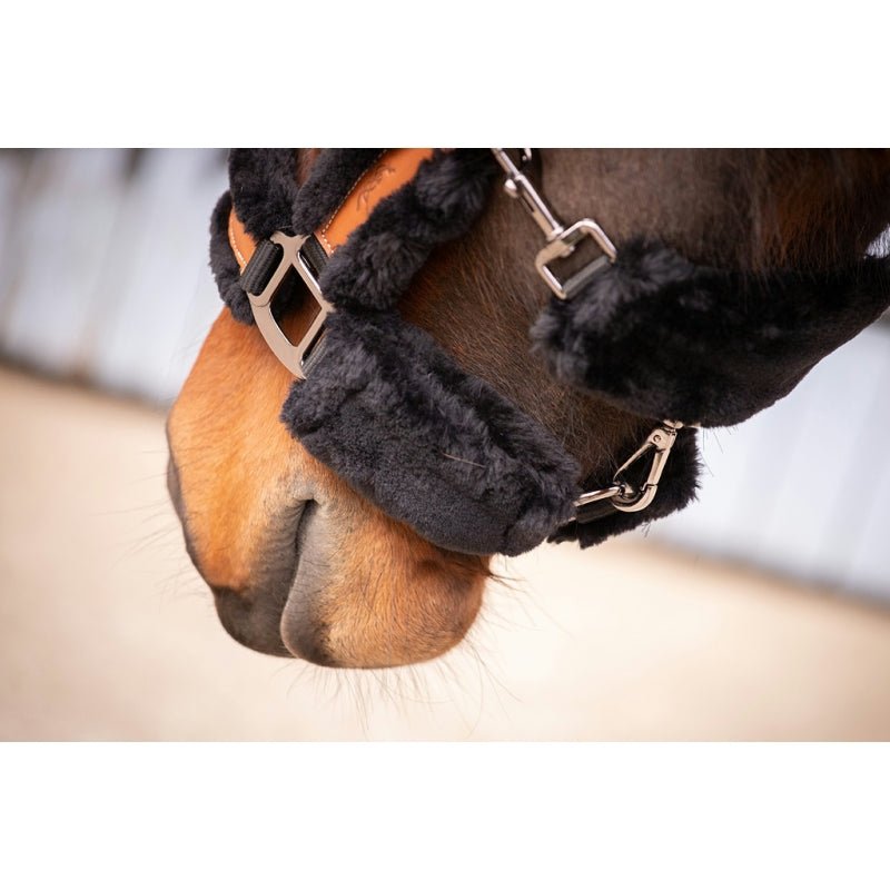 Pénélope Soft Leather Halter - Black & Black - Pénélope - Equiluxe Tack