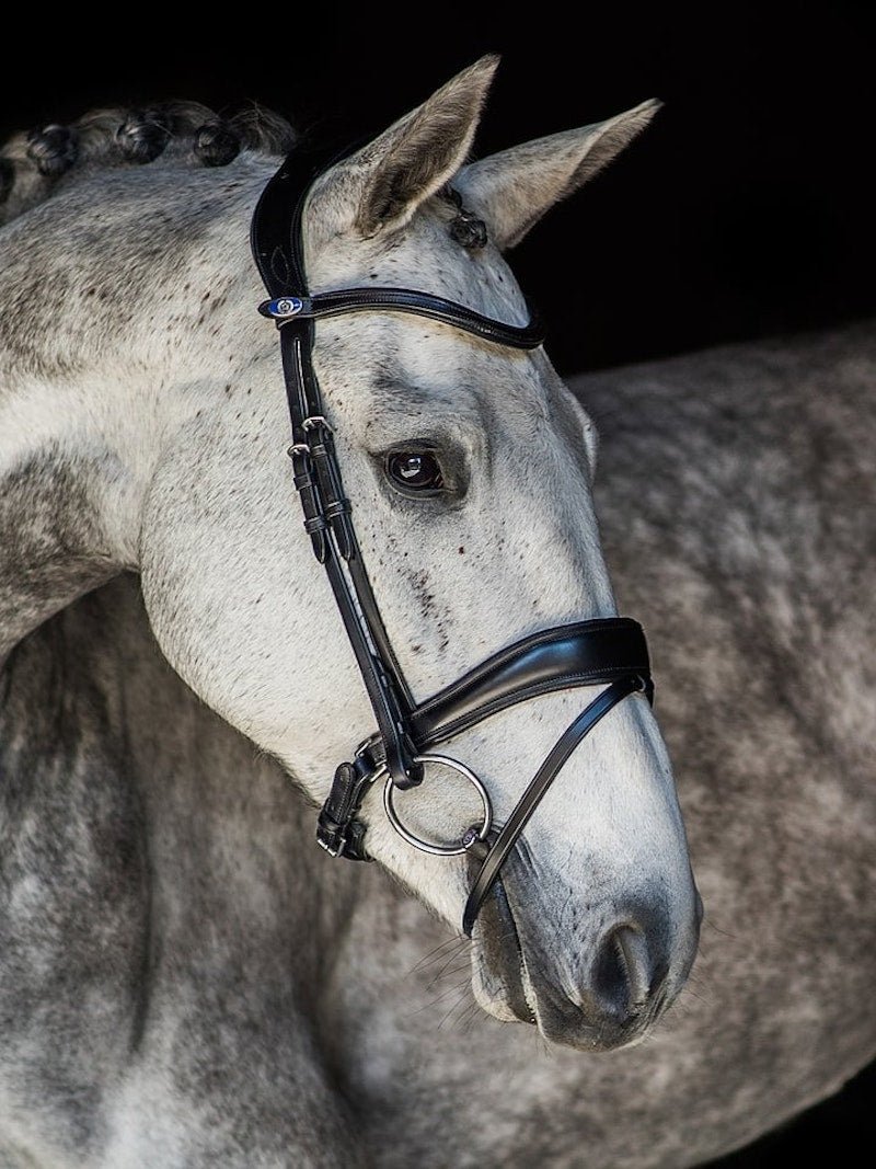 PS of Sweden Bridle Flying Change - PS of Sweden - Equiluxe Tack