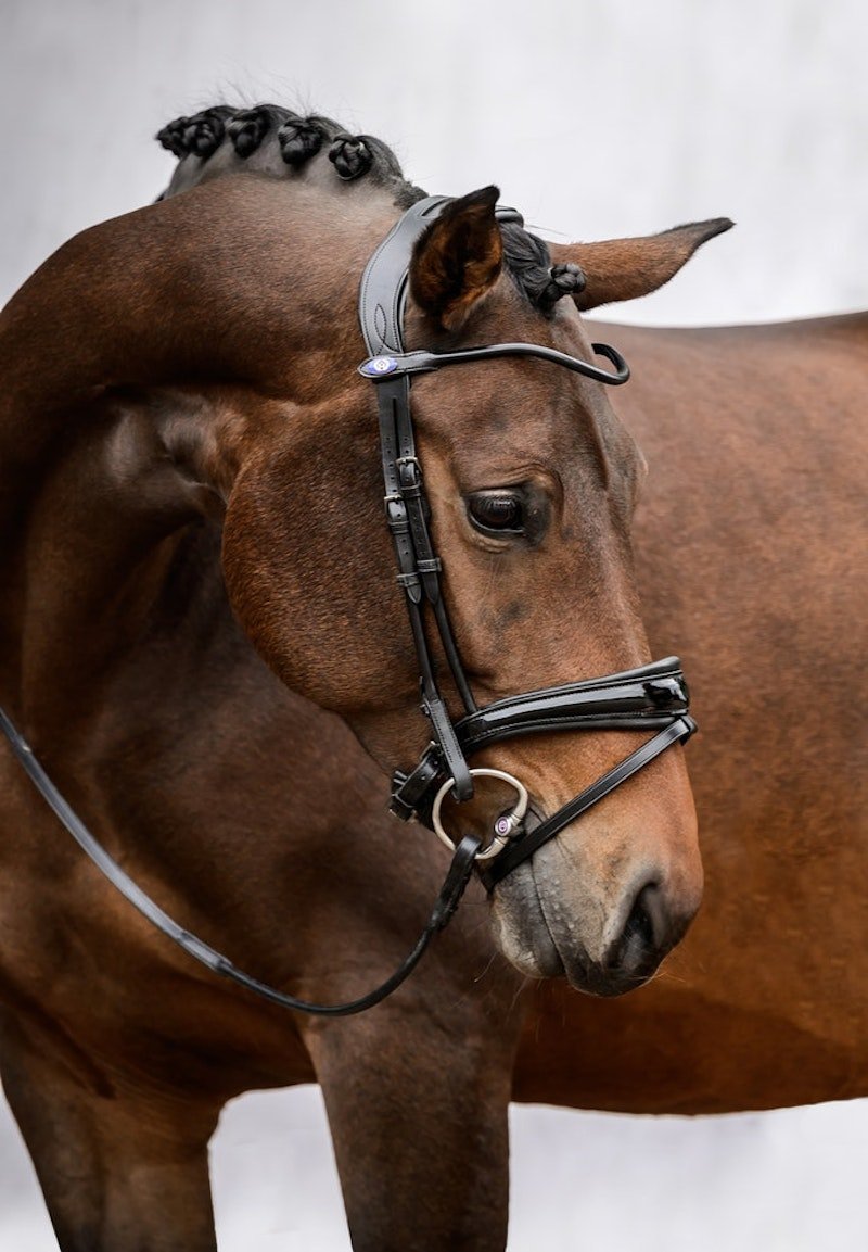 PS of Sweden Bridle GP Black - PS of Sweden - Equiluxe Tack