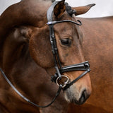 PS of Sweden Bridle GP Black - PS of Sweden - Equiluxe Tack
