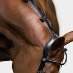 PS of Sweden Bridle GP Black - PS of Sweden - Equiluxe Tack