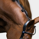 PS of Sweden Bridle GP Black - PS of Sweden - Equiluxe Tack