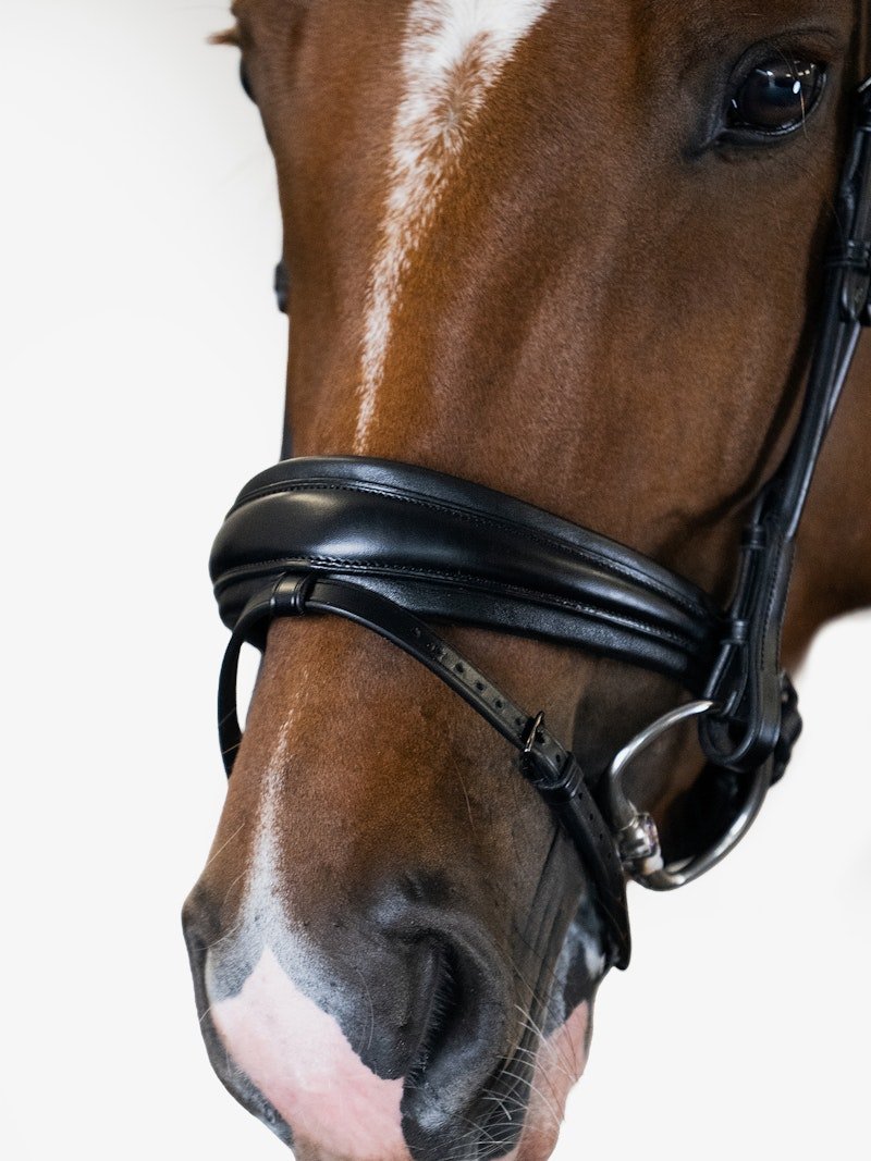 PS of Sweden Bridle GP Black - PS of Sweden - Equiluxe Tack