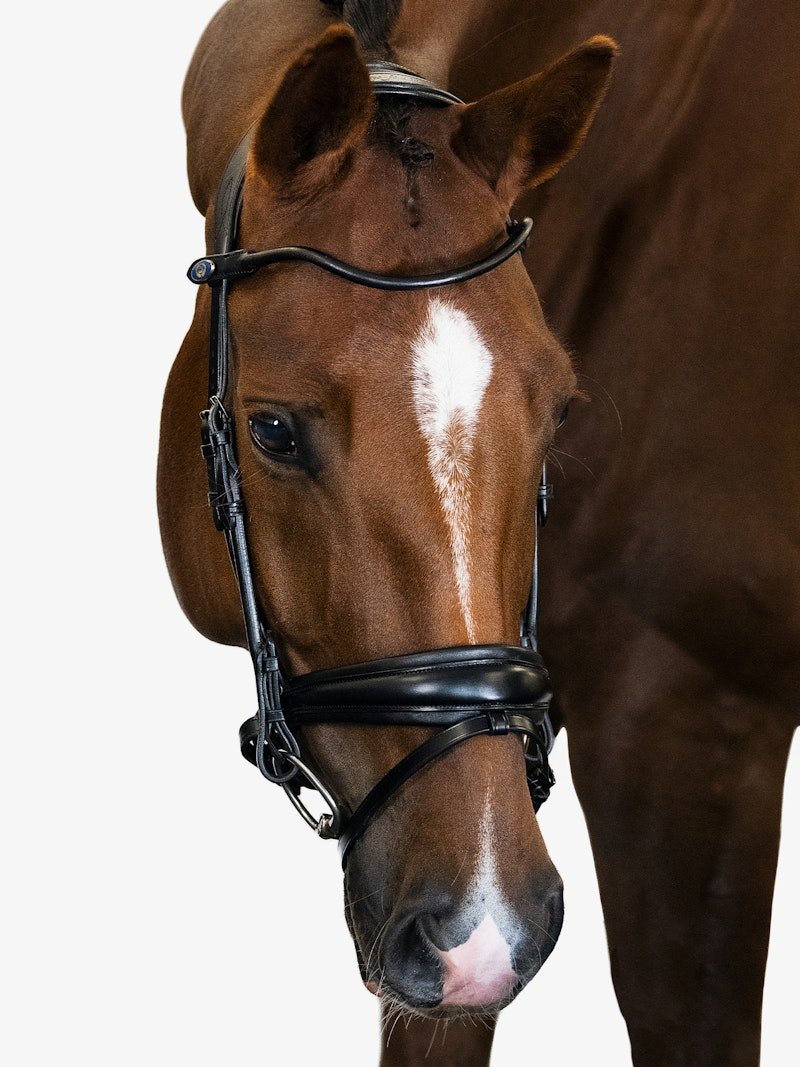 PS of Sweden Bridle GP Black - PS of Sweden - Equiluxe Tack