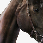 PS of Sweden Bridle Helsinki - PS of Sweden - Equiluxe Tack