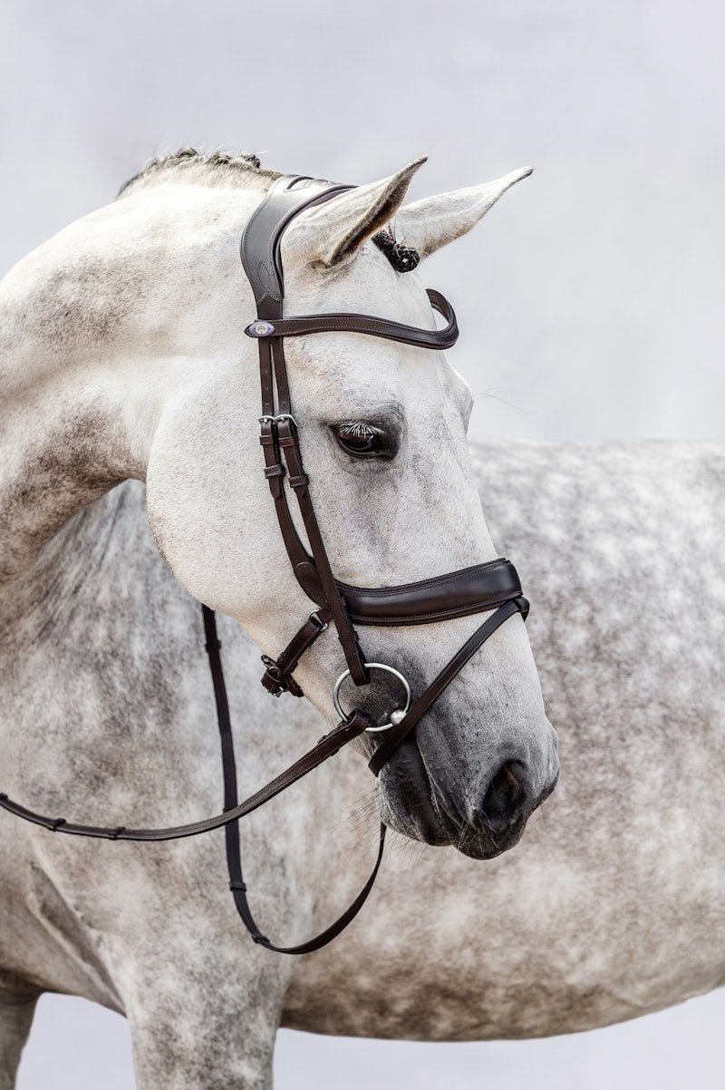 PS of Sweden Bridle Paladin - PS of Sweden - Equiluxe Tack