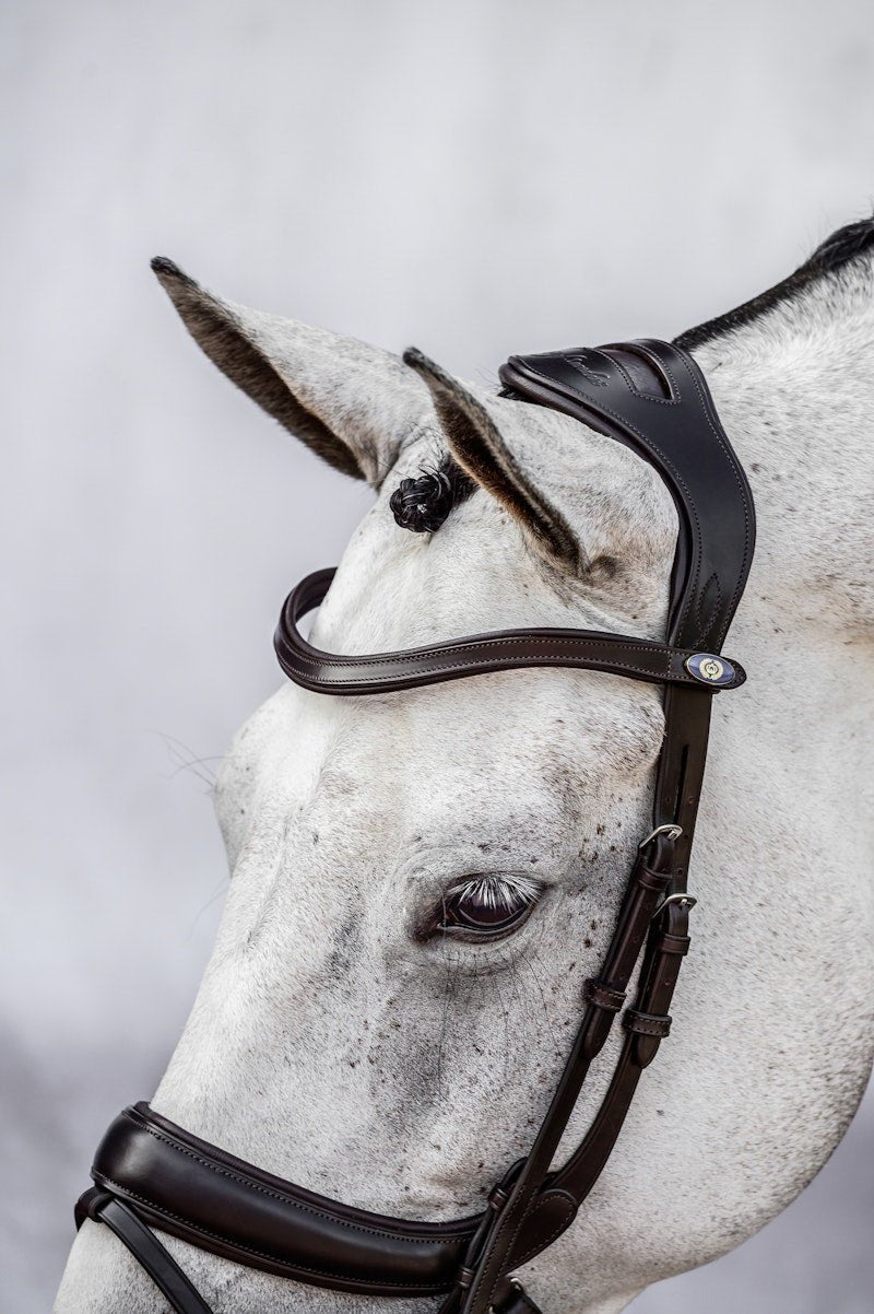PS of Sweden Bridle Paladin - PS of Sweden - Equiluxe Tack
