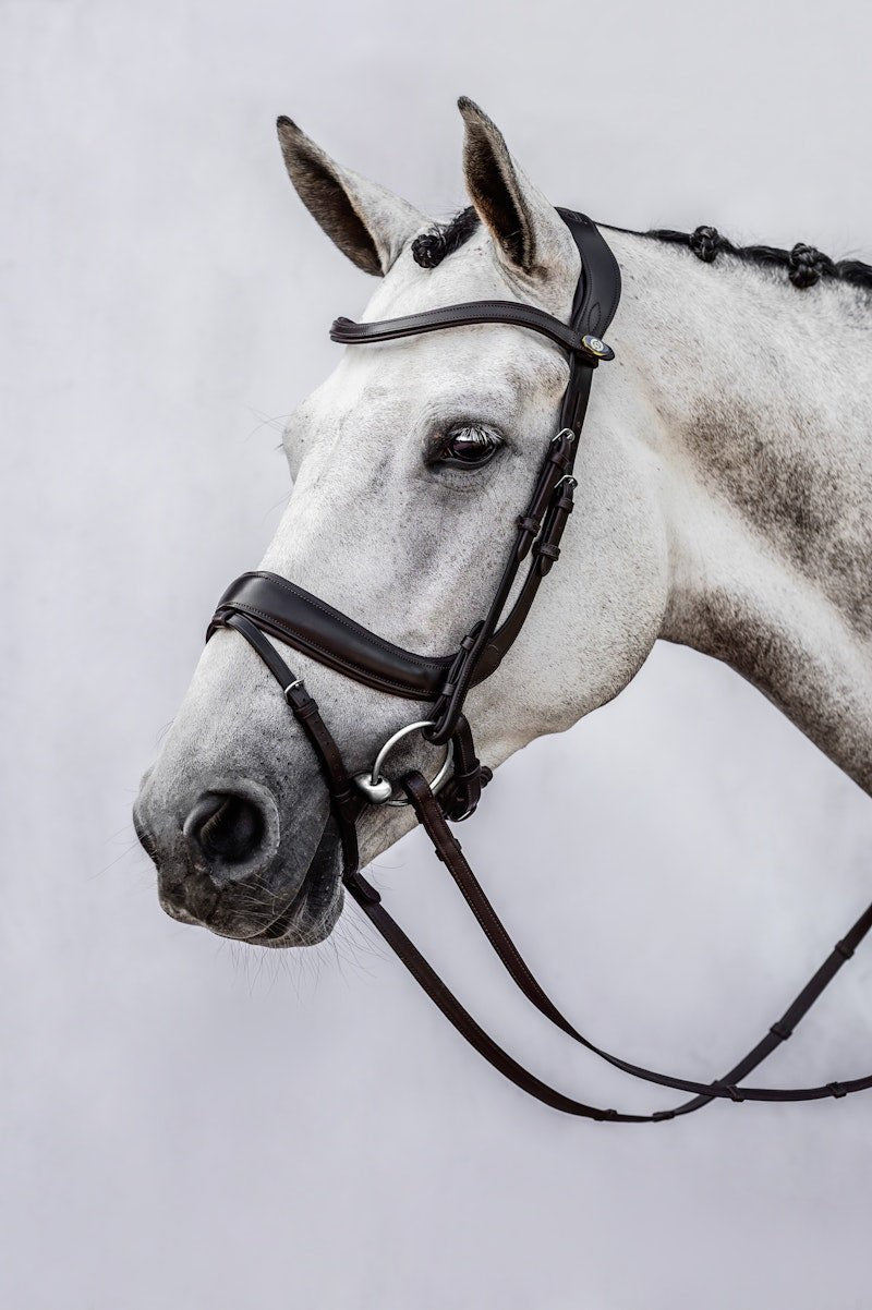 PS of Sweden Bridle Paladin - PS of Sweden - Equiluxe Tack