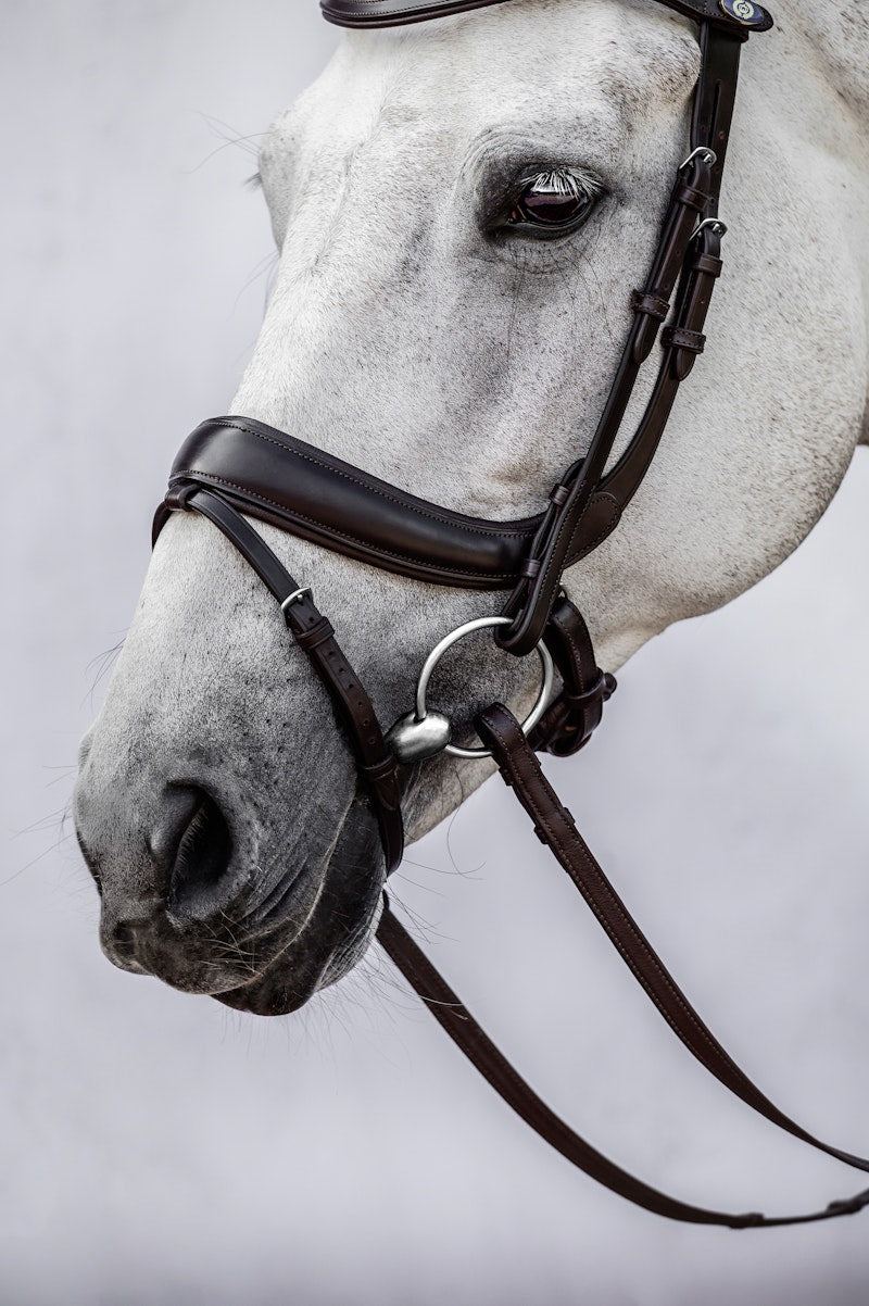 PS of Sweden Bridle Paladin - PS of Sweden - Equiluxe Tack