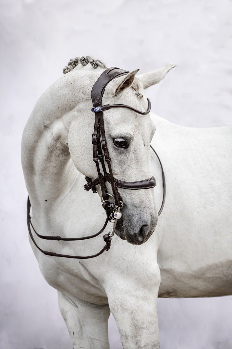 PS of Sweden Double Bridle Paragon - PS of Sweden - Equiluxe Tack