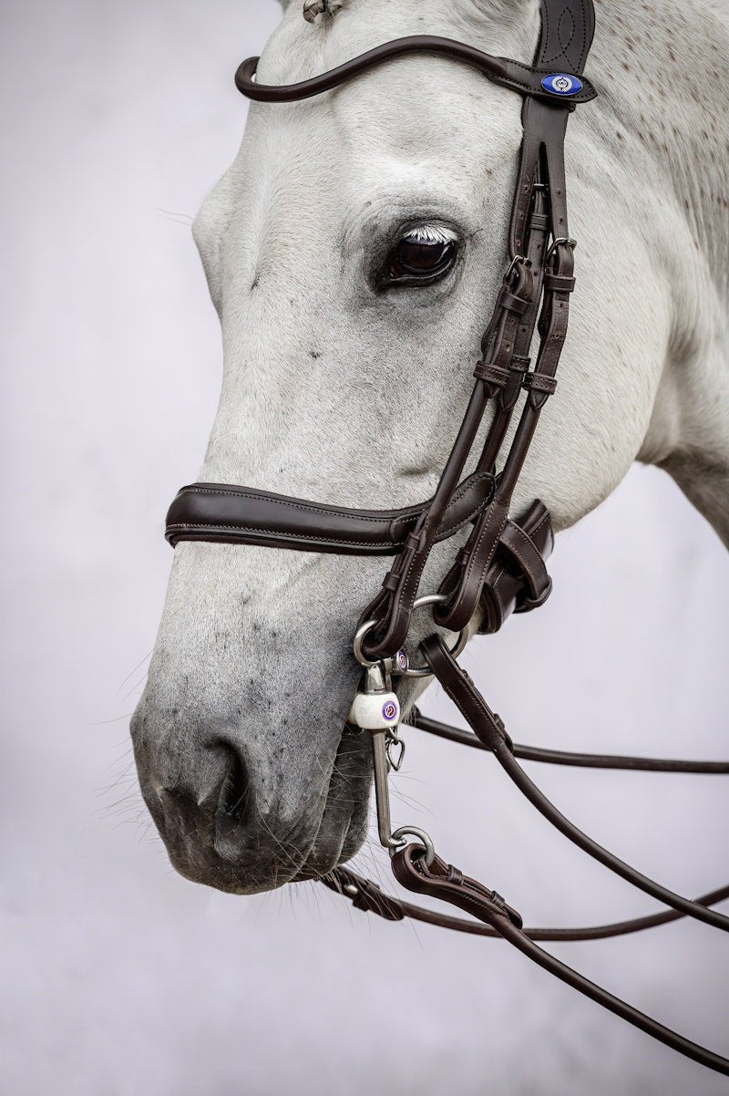 PS of Sweden Double Bridle Paragon - PS of Sweden - Equiluxe Tack