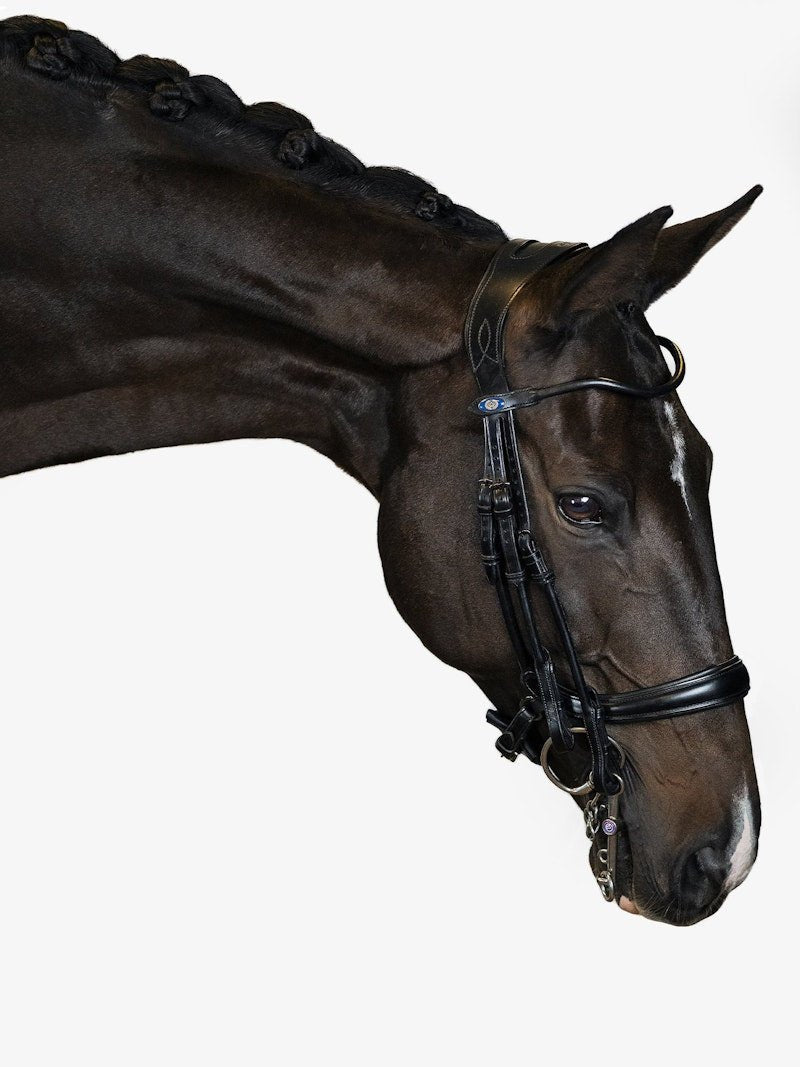PS of Sweden Double Bridle Paragon - PS of Sweden - Equiluxe Tack