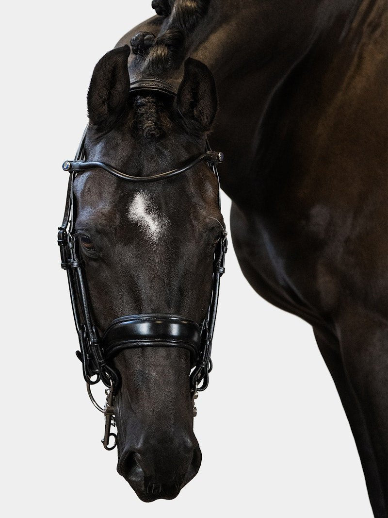 Double bridle for riding PS of Sweden Passage | La sellerie de Maé Double bridle for riding PS of Sweden Passage | La sellerie de Maé