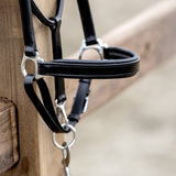PS of Sweden Leather Halter - PS of Sweden - Equiluxe Tack