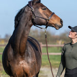 PS of Sweden Leather Halter - PS of Sweden - Equiluxe Tack