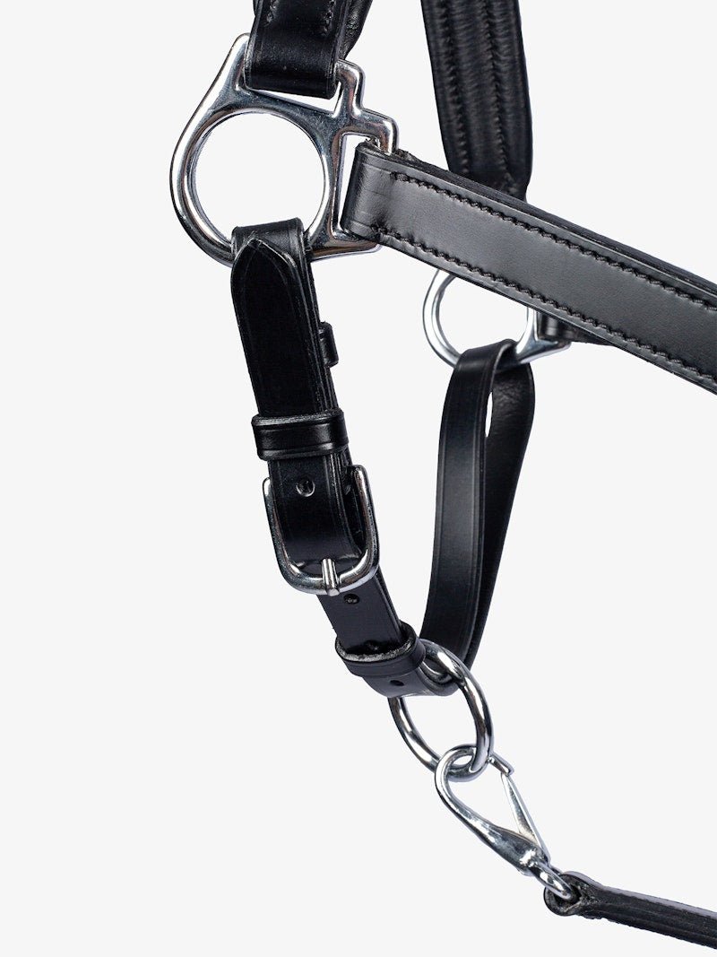 PS of Sweden Leather Halter - PS of Sweden - Equiluxe Tack