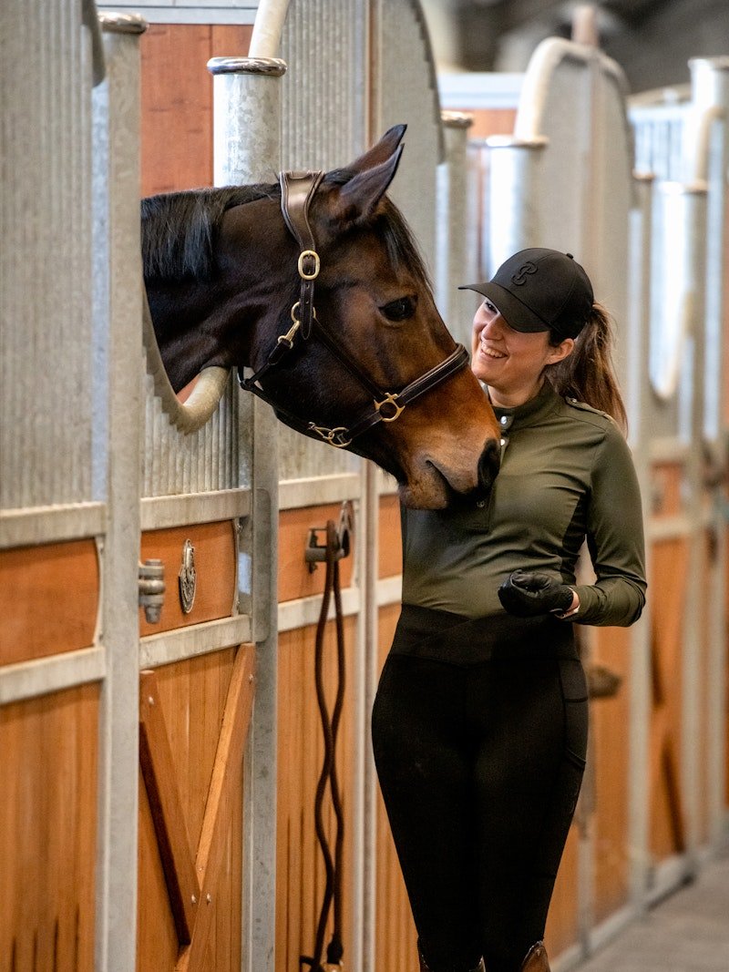 PS of Sweden Leather Halter - PS of Sweden - Equiluxe Tack