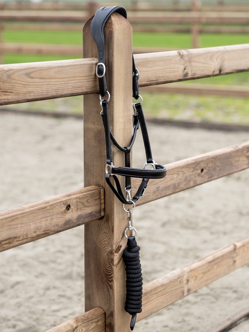 PS of Sweden Leather Halter - PS of Sweden - Equiluxe Tack