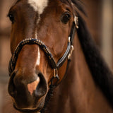 PS of Sweden Palermo Leather Halter - PS of Sweden - Equiluxe Tack