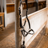 PS of Sweden Palermo Leather Halter - PS of Sweden - Equiluxe Tack