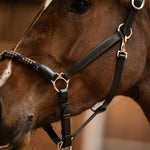 PS of Sweden Palermo Leather Halter - PS of Sweden - Equiluxe Tack