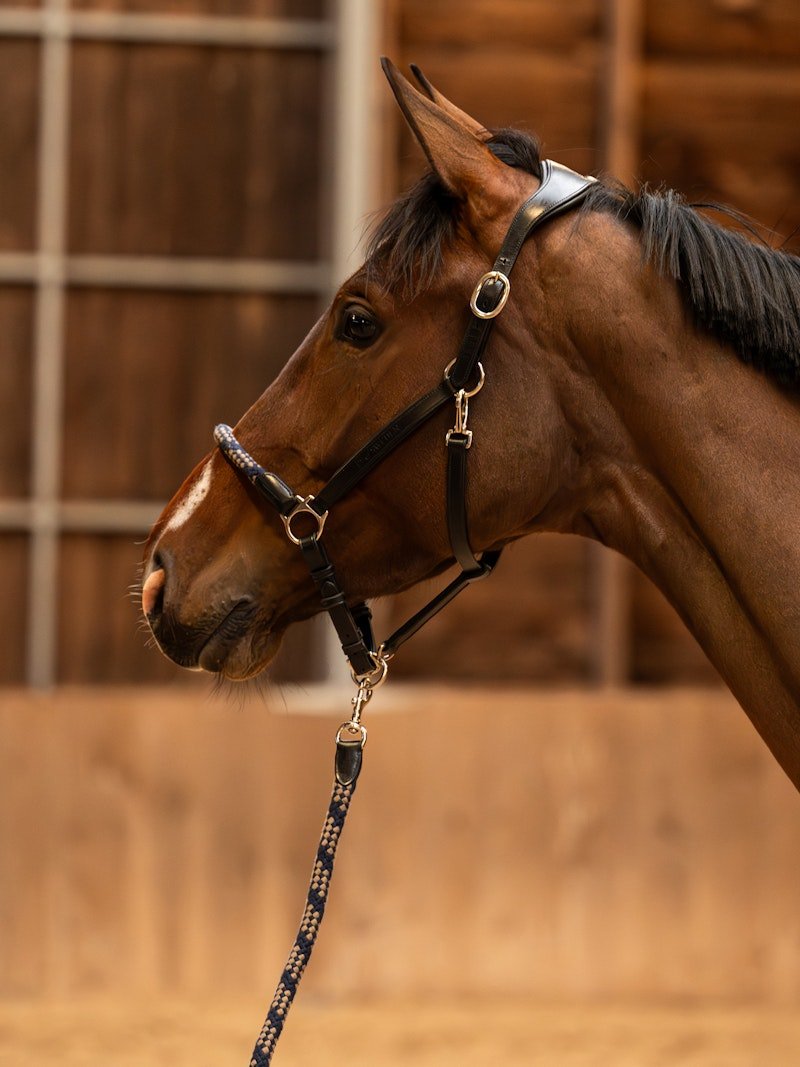 PS of Sweden Palermo Leather Halter - PS of Sweden - Equiluxe Tack