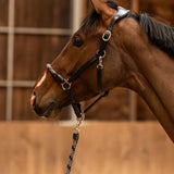 PS of Sweden Palermo Leather Halter - PS of Sweden - Equiluxe Tack