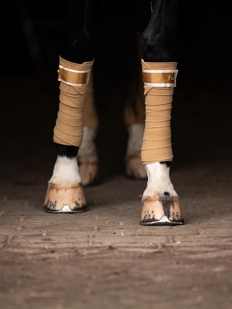 PS of Sweden Polos Signature - Golden - PS of Sweden - Equiluxe Tack