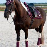 PS of Sweden Polos Signature - Plum - PS of Sweden - Equiluxe Tack