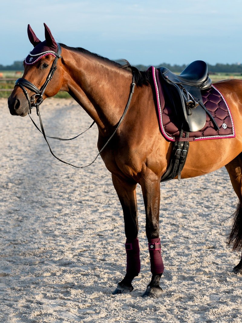 PS of Sweden Polos Signature - Plum - PS of Sweden - Equiluxe Tack