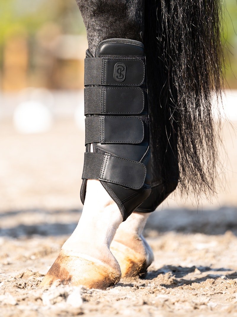 PS of Sweden Premium Training Hind Boots 2 - pack - Black - PS of Sweden - Equiluxe Tack