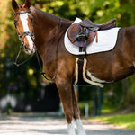 PS of Sweden Stripe Jump Saddle Pad - White - PS of Sweden - Equiluxe Tack