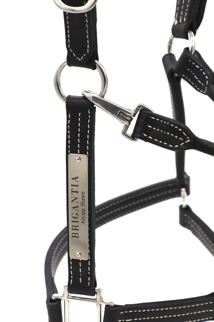 Remarkable Leather Goods Elegant Halter Nameplate - Remarkable Leather Goods - Equiluxe Tack