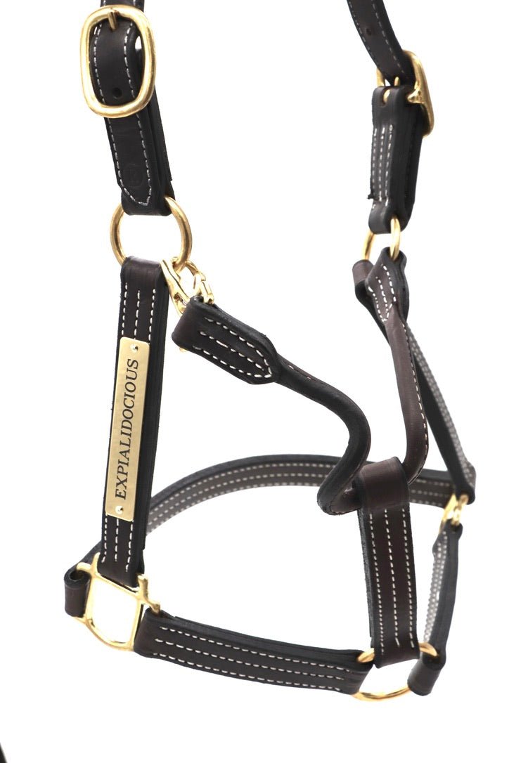 Remarkable Leather Goods Elegant Halter Nameplate - Remarkable Leather Goods - Equiluxe Tack