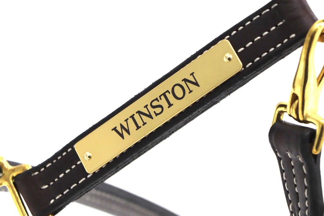 Remarkable Leather Goods Elegant Halter Nameplate - Remarkable Leather Goods - Equiluxe Tack