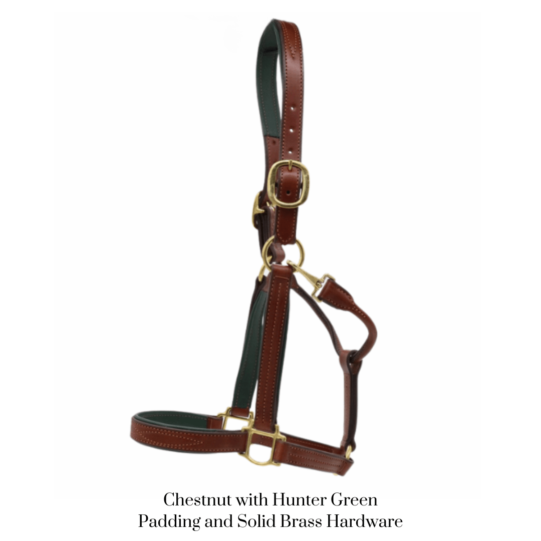 Remarkable Leather Goods GHC Padded Halter - Remarkable Leather Goods - Equiluxe Tack
