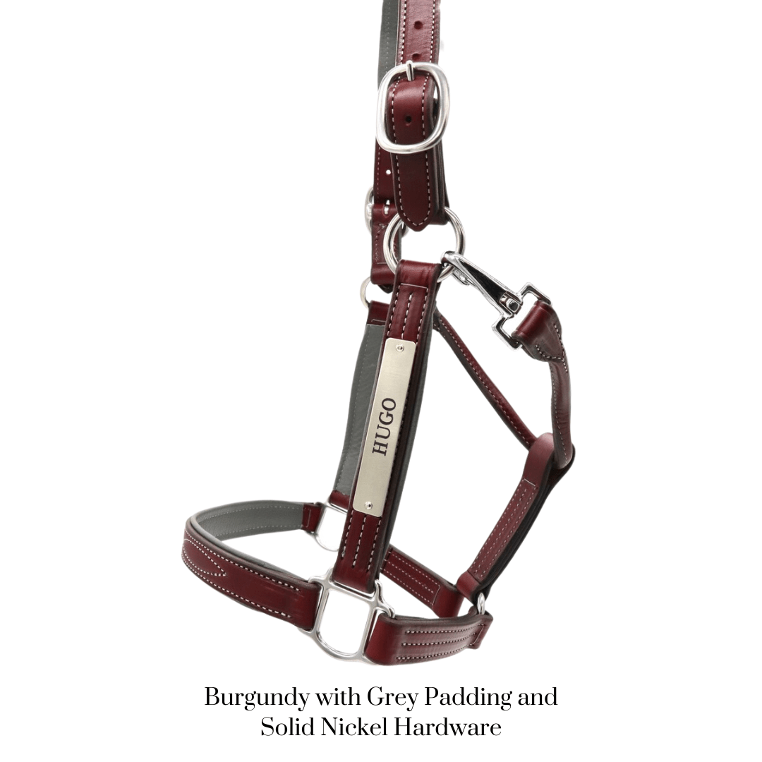 Remarkable Leather Goods GHC Padded Halter - Remarkable Leather Goods - Equiluxe Tack