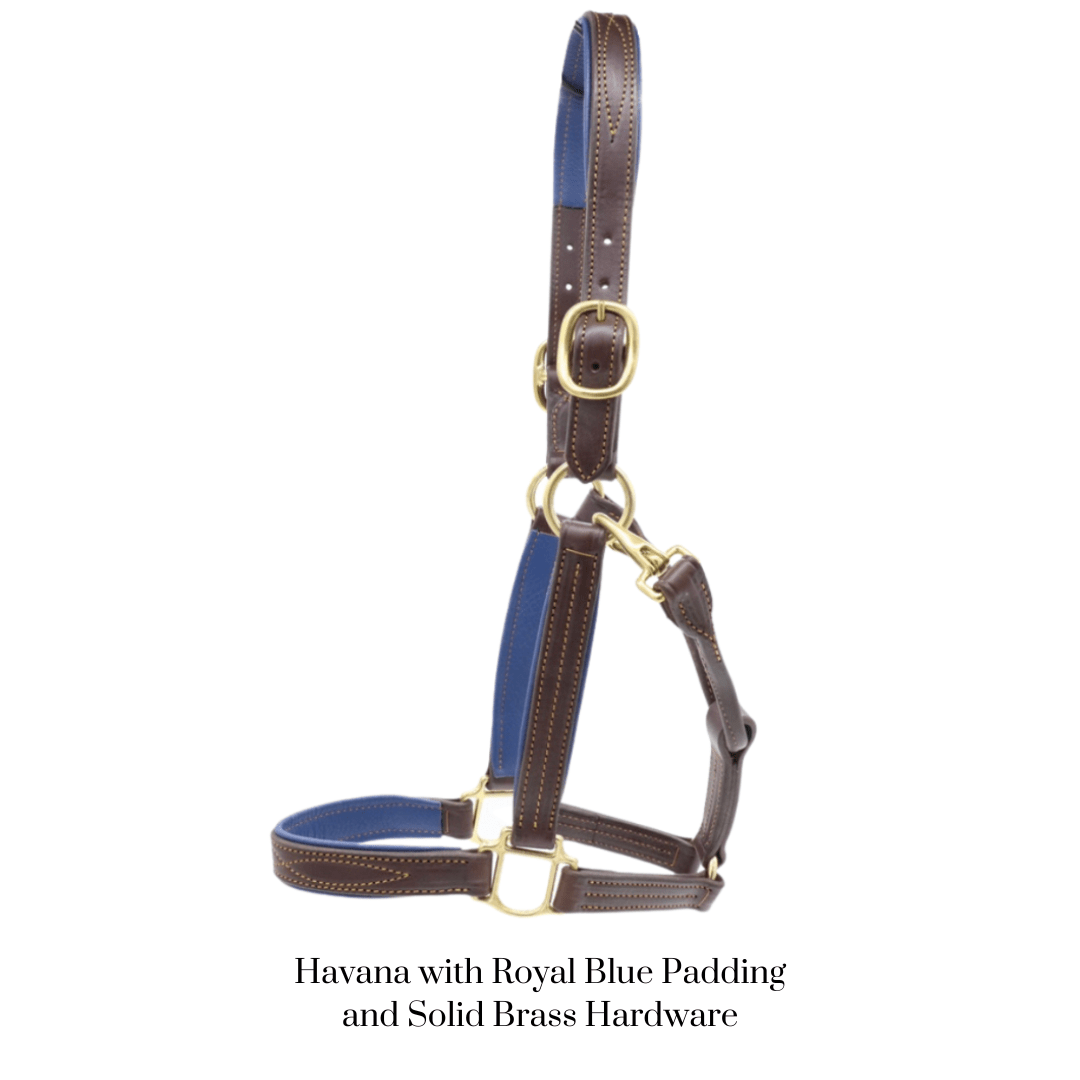 Remarkable Leather Goods GHC Padded Halter - Remarkable Leather Goods - Equiluxe Tack