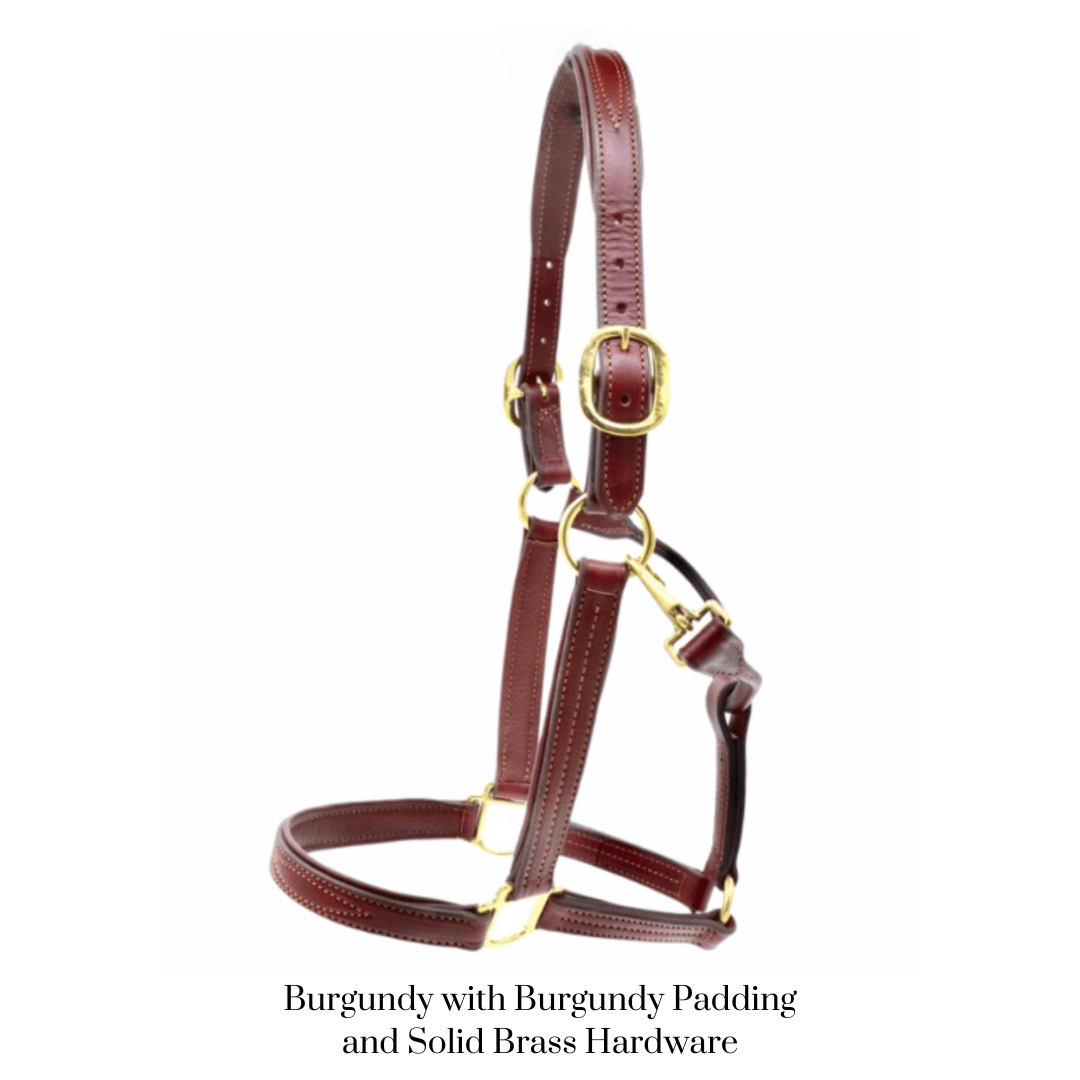Remarkable Leather Goods GHC Padded Halter - Remarkable Leather Goods - Equiluxe Tack