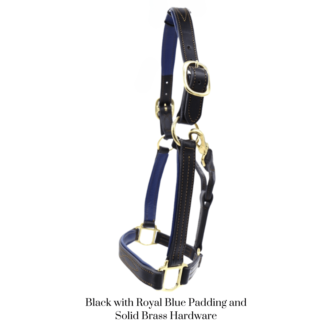 Remarkable Leather Goods GHC Padded Halter - Remarkable Leather Goods - Equiluxe Tack