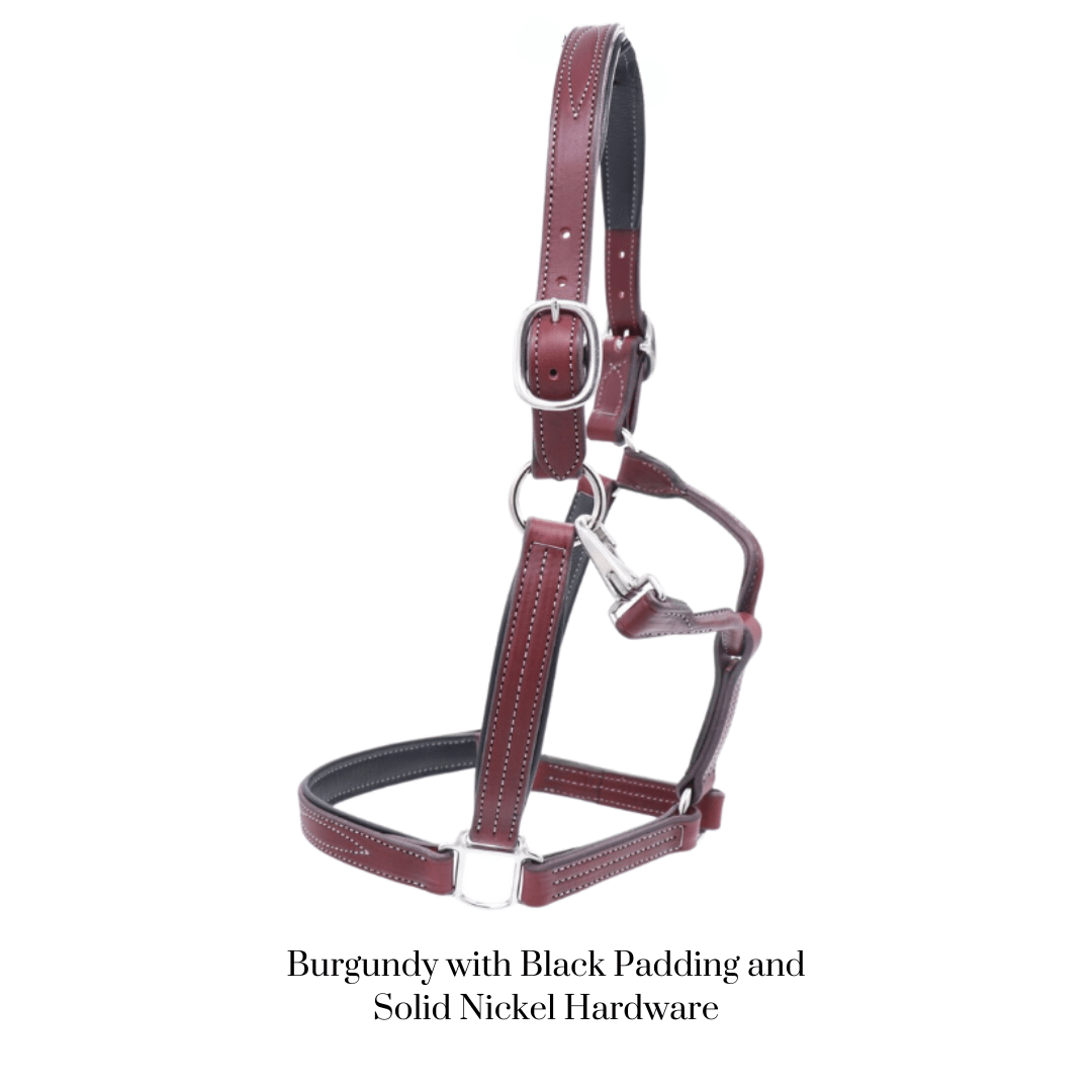 Remarkable Leather Goods GHC Padded Halter - Remarkable Leather Goods - Equiluxe Tack