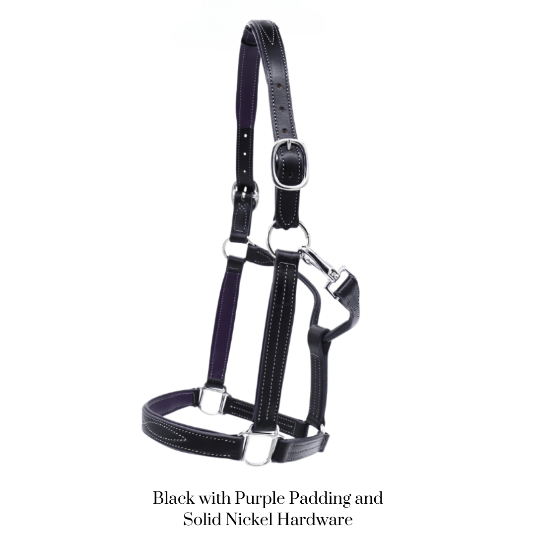 Remarkable Leather Goods GHC Padded Halter - Remarkable Leather Goods - Equiluxe Tack