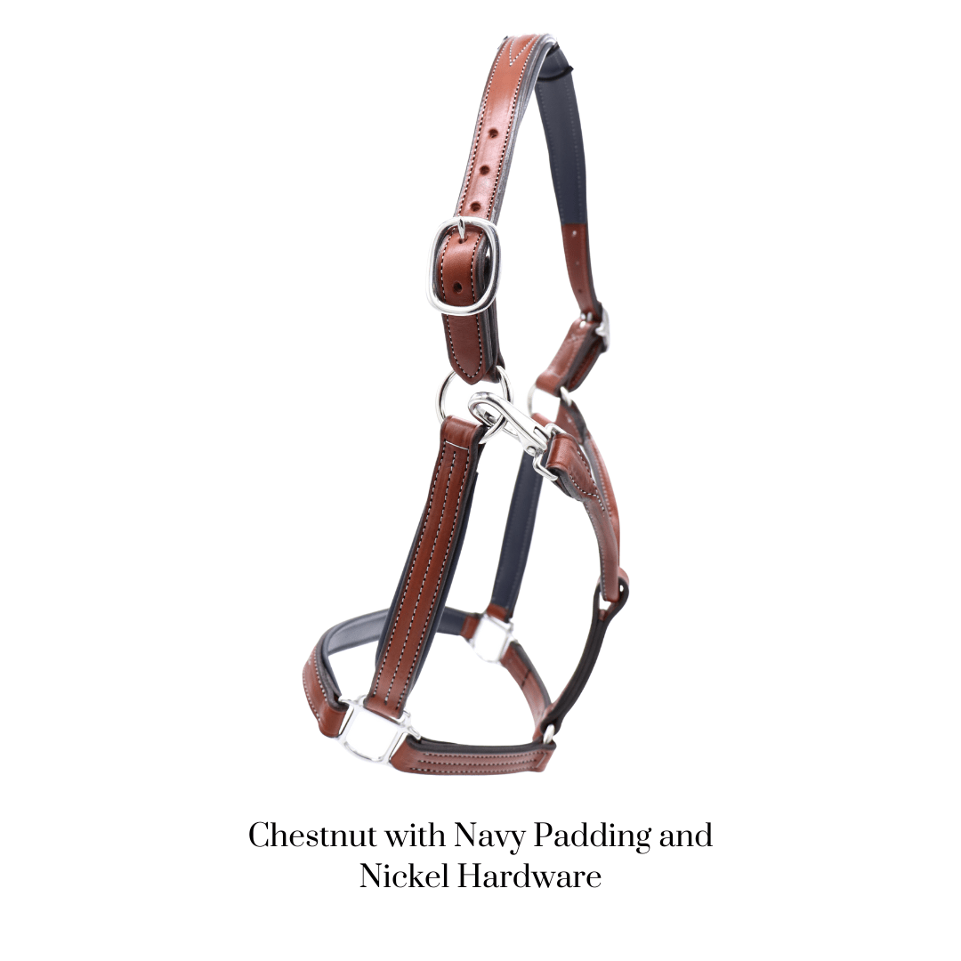 Remarkable Leather Goods GHC Padded Halter - Remarkable Leather Goods - Equiluxe Tack