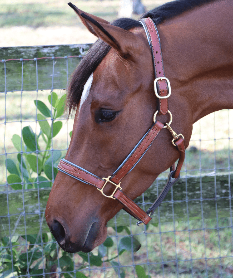 Remarkable Leather Goods GHC Padded Halter - Remarkable Leather Goods - Equiluxe Tack
