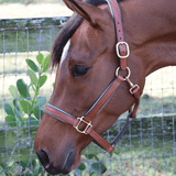 Remarkable Leather Goods GHC Padded Halter - Remarkable Leather Goods - Equiluxe Tack
