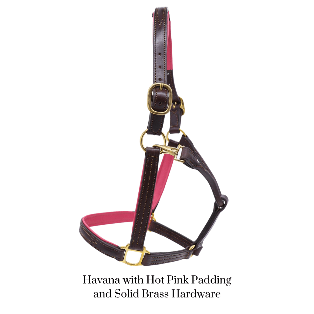 Remarkable Leather Goods GHC Padded Halter - Remarkable Leather Goods - Equiluxe Tack
