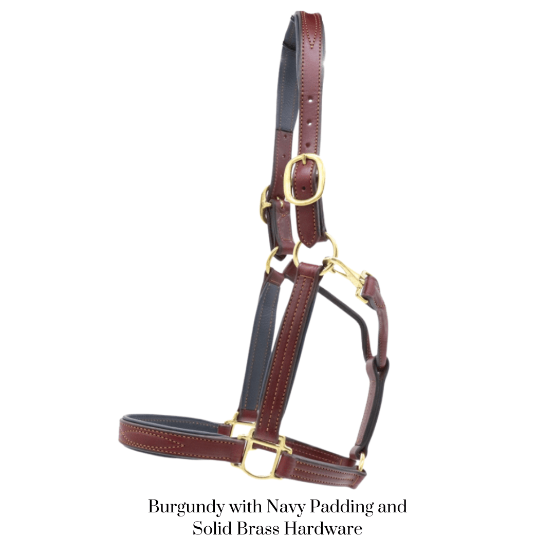 Remarkable Leather Goods GHC Padded Halter - Remarkable Leather Goods - Equiluxe Tack