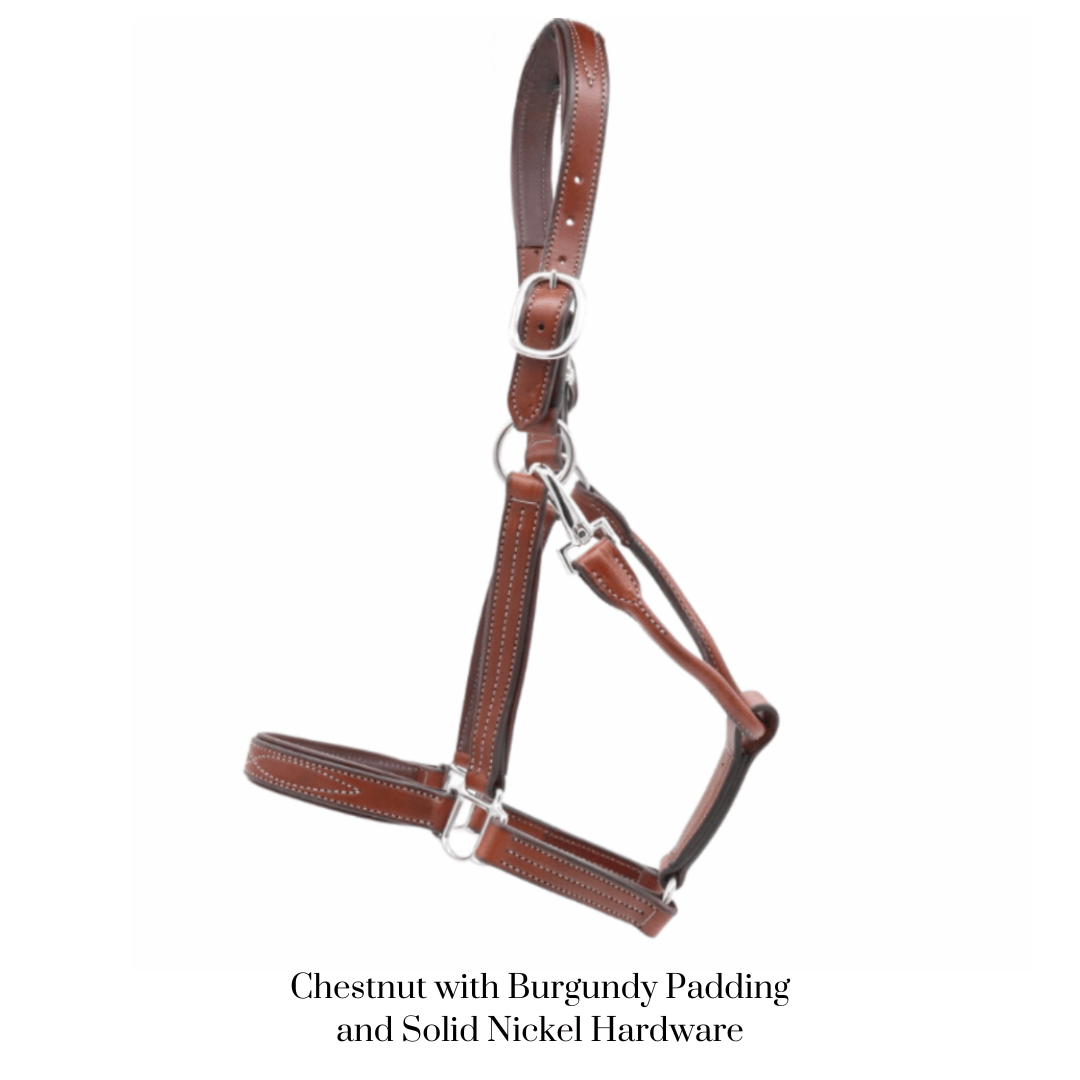 Remarkable Leather Goods GHC Padded Halter - Remarkable Leather Goods - Equiluxe Tack