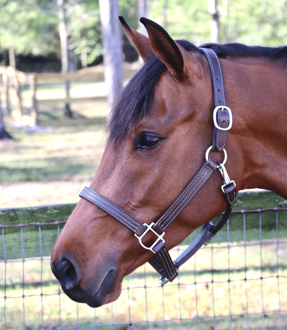 Remarkable Leather Goods GHC Triple Stitch Halter - Remarkable Leather Goods - Equiluxe Tack