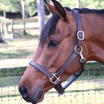 Remarkable Leather Goods GHC Triple Stitch Halter - Remarkable Leather Goods - Equiluxe Tack